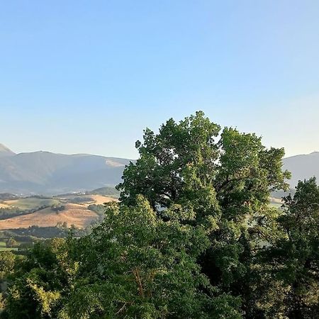 Pigno, Appartamento In Campagna Кали Екстериор снимка