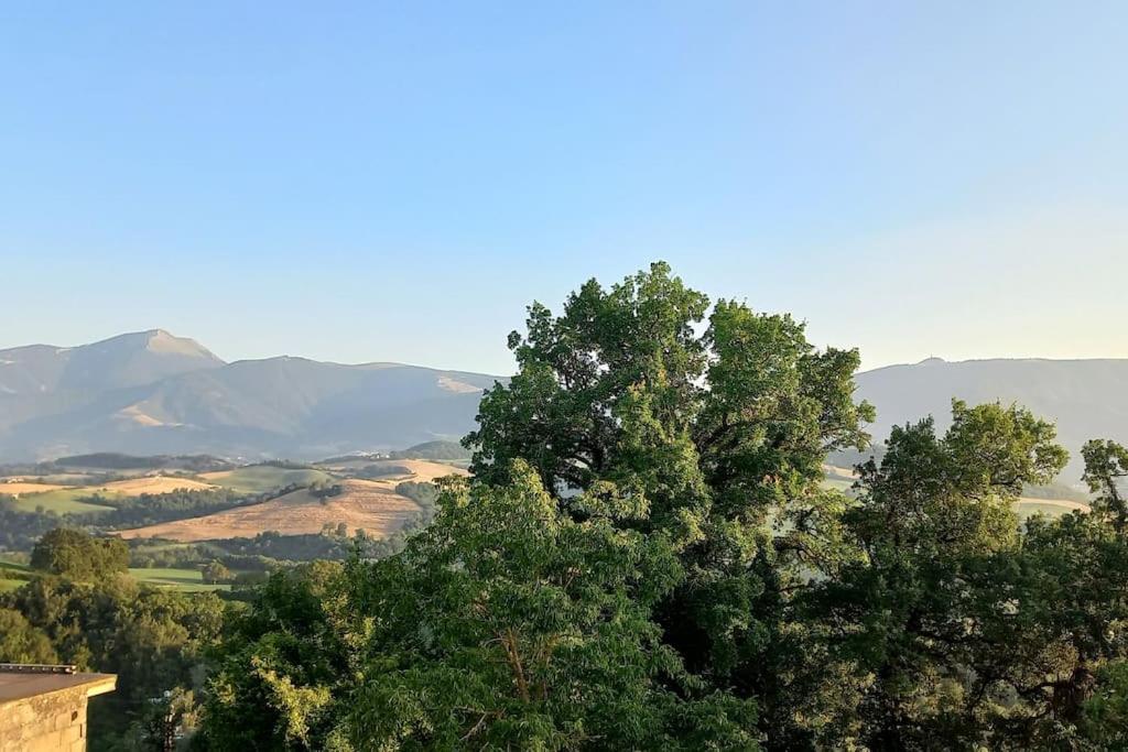 Pigno, Appartamento In Campagna Кали Екстериор снимка